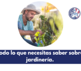 Todo lo que necesitas saber sobre jardinería.